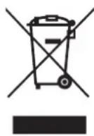 Champion CHSC210 - Correct Disposal of this product - 1