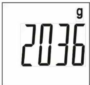 2036 g
