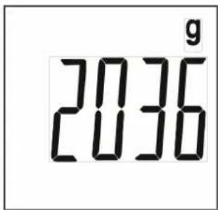 g 2036