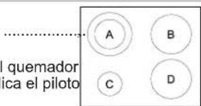 I quemador ica el piloto
