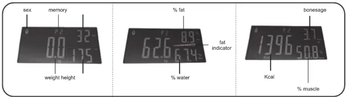sex memory % fat P 2 32 0.0 175 weight height 62.6 8.9 log 6.74% % water fat indicator bonesage Kcal 1396 37 50.8% % muscle