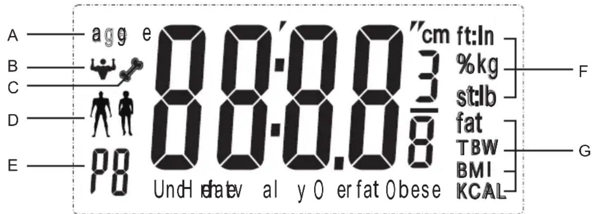 A—agg e 80.0.03"cm ft:In B—Lioner 80.0.03 cm C—Stilb 80.0.03 cm D—Fat 80.0.03 cm E—PB UndH date al y O er fat Obese fat TBW BMI KCAL G F G