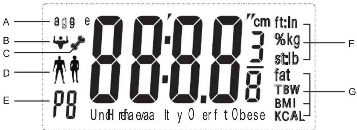 A—agg e 8.8:0.83 cm ft:ln B—kg C—stlb D—fat E—PB Un dH rha evaa It y O er f t Obese TBW F—BMI KCAL G