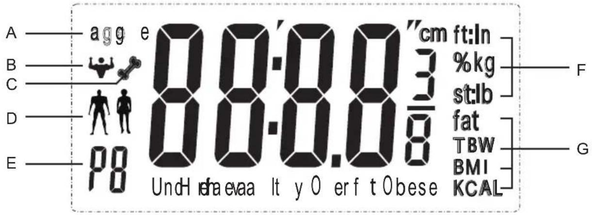 A—agg e 08:08.3"cm ft:ln B—#e 08:08.3 cm %kg C—#e 08:08.3 cm st:lb D—#e 08:08.3 cm fat E—p0 UndH rha evaa lt y O er f t Obese TBW BMI KCAL F G