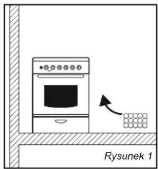 Rysunek 1