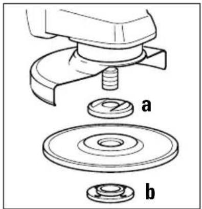 a b
