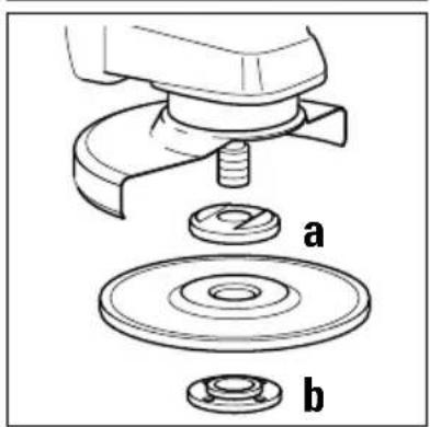 a b