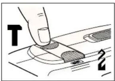 T 2