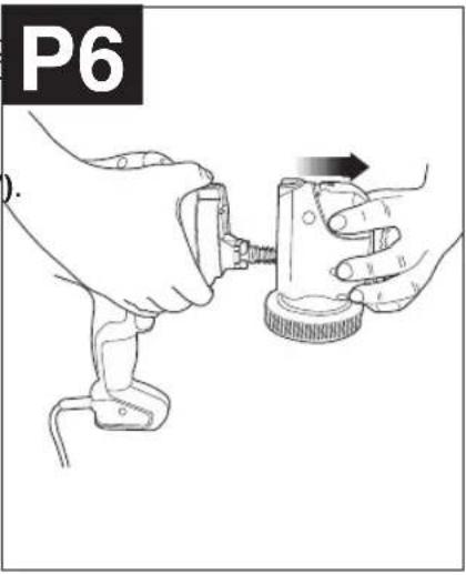 P6 ).