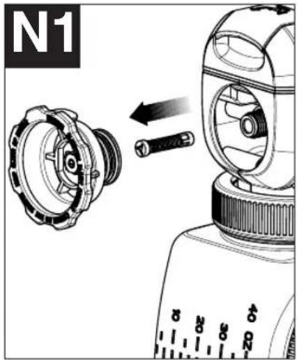 N1