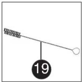 19