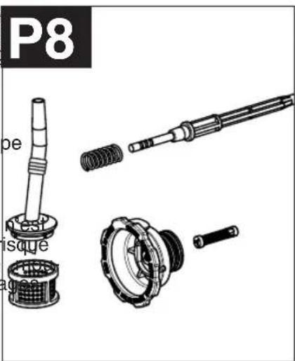 P8 pe nest isque aage