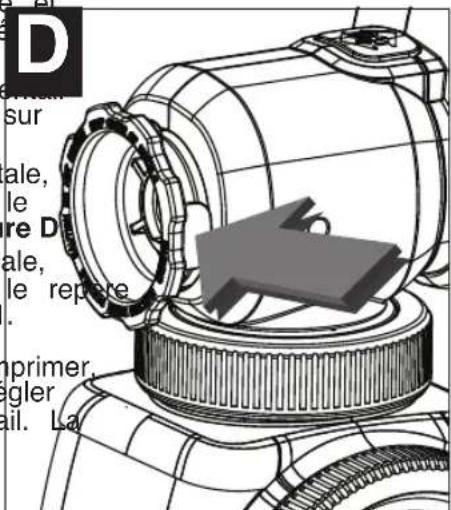 D sur ale, le re D ale, le repore primer, egler ail. La