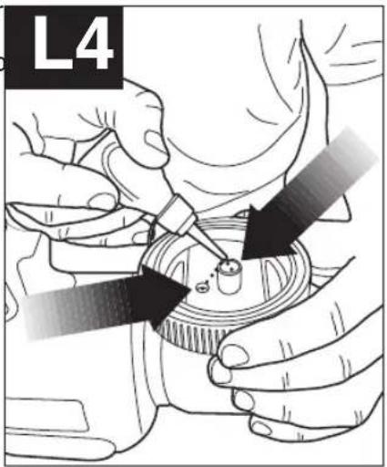 L4