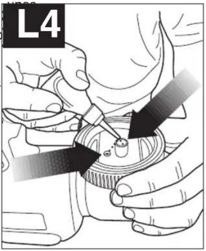 L4