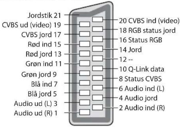 PANASONIC TX-L37E3E - AV1 SCART-terminal (RGB, VIDEO, Q-Link) - 1