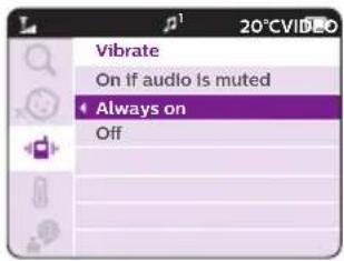 Vibrate On if audio is muted Always on Off