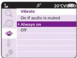Vibrate On if audio is muted Always on Off