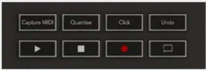 NOVATION Launchkey 61 MK3 - Transportkontrol - 1