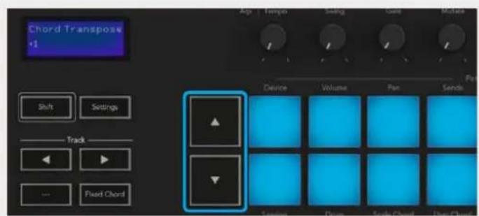 NOVATION Launchkey 61 MK3 - Brugerakkordtilstand - 4
