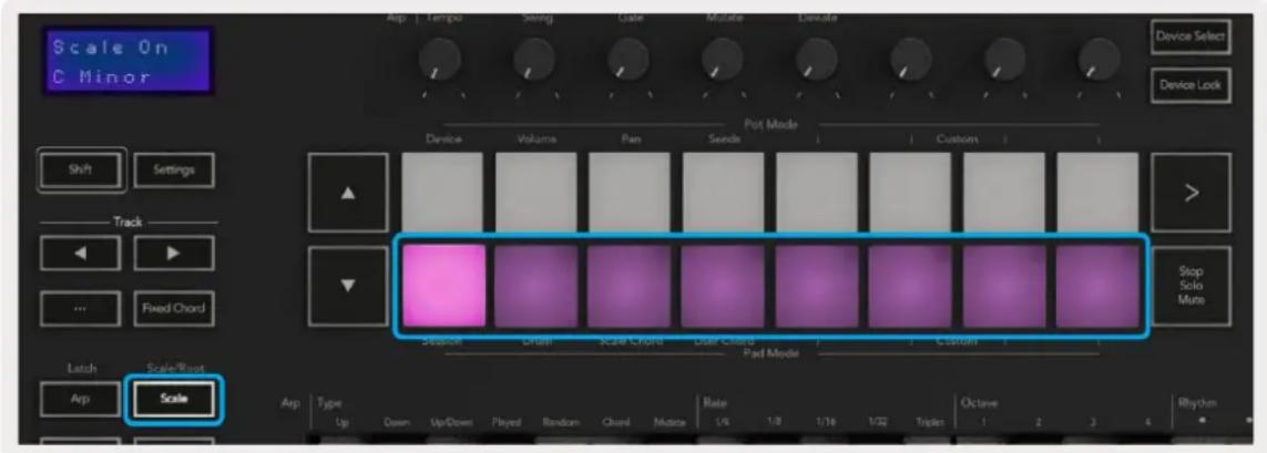 NOVATION Launchkey 49 MK3 - Brugerakkordtilstand - 8