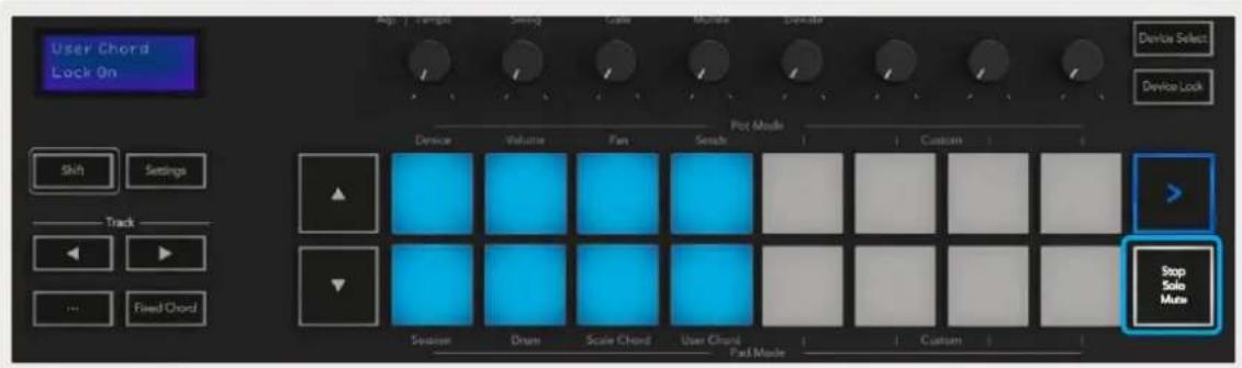 NOVATION Launchkey 49 MK3 - Brugerakkordtilstand - 3