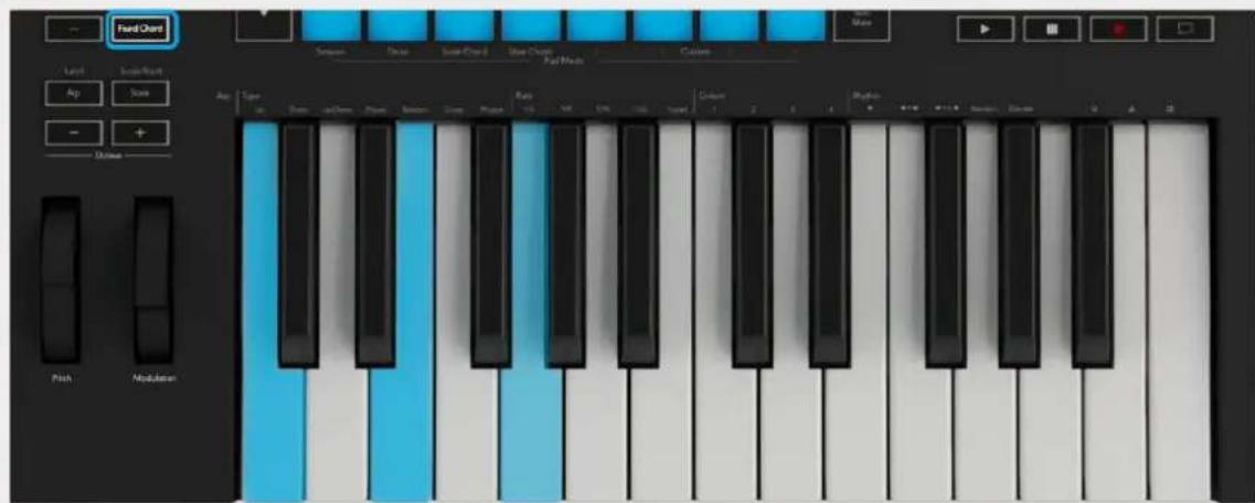 NOVATION Launchkey 37 MK3 - Brugerakkordtilstand - 6