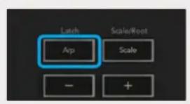 NOVATION Launchkey 25 MK3 - Arpeggiator - 1
