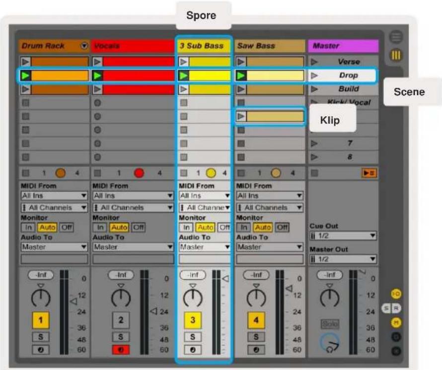 NOVATION Launchkey 25 MK3 - Sessionstilstand - 1