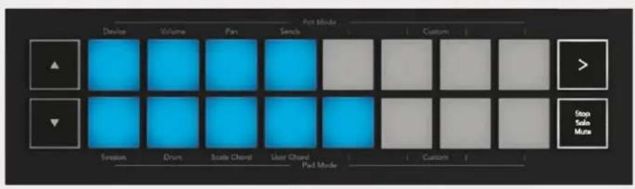 NOVATION Launchkey 25 MK3 - Brugerakkordtilstand - 2
