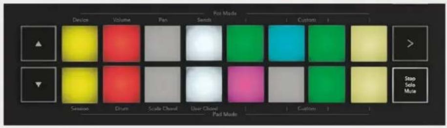 NOVATION Launchkey 25 MK3 - Sessionstilstand - 2