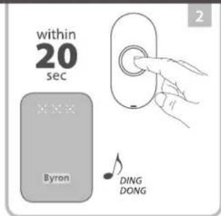 BYRON DBY-22324 - 12