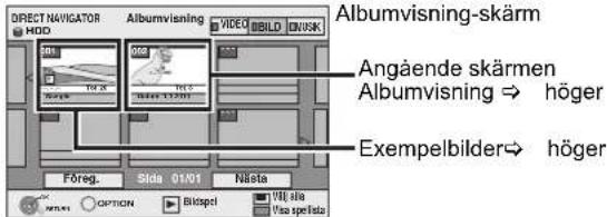 DIRECT NAVIGATOR HOD Albumvisning VIDEO BILD ONISK Albumvisning-skärm Angående skärmen Albumvisning ⇒ höger Exempelbilder ⇒ höger Föreg. Sida 01/01 Nästa Ringski OPTION Bikspel Vilä sla Via spelska