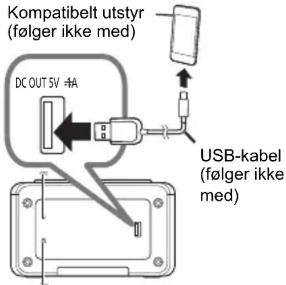 Kompatibelt utstyr (følger ikke med) DC OUT 5V ≠A USB-kabel (følger ikke med)