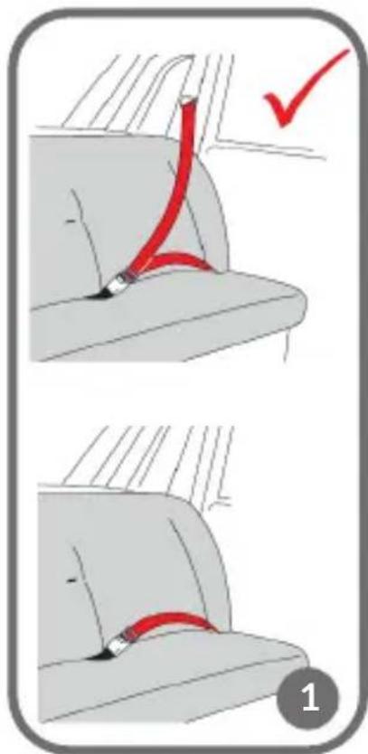Diagram illustrating car seatbelt usage with red arrows and a checkmark indicating action