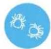 BLUEAIR Blue Pure 221 - Generel information - 6