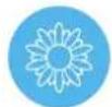 BLUEAIR Blue Pure 221 - Generel information - 3