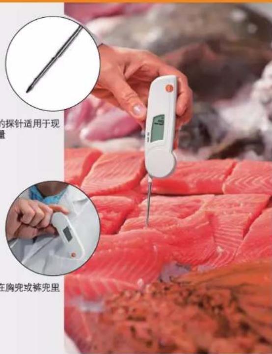Testo 826-T2 - testo 103 - 1