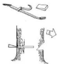 Illustration of wood grain and tools including a saw, stick, and cut (no text or symbols)