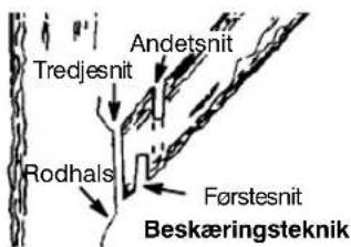 PARTNER P4-20XT - BESKÆRING - 1