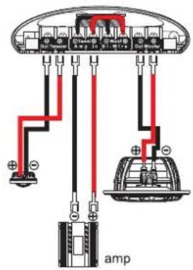 amp