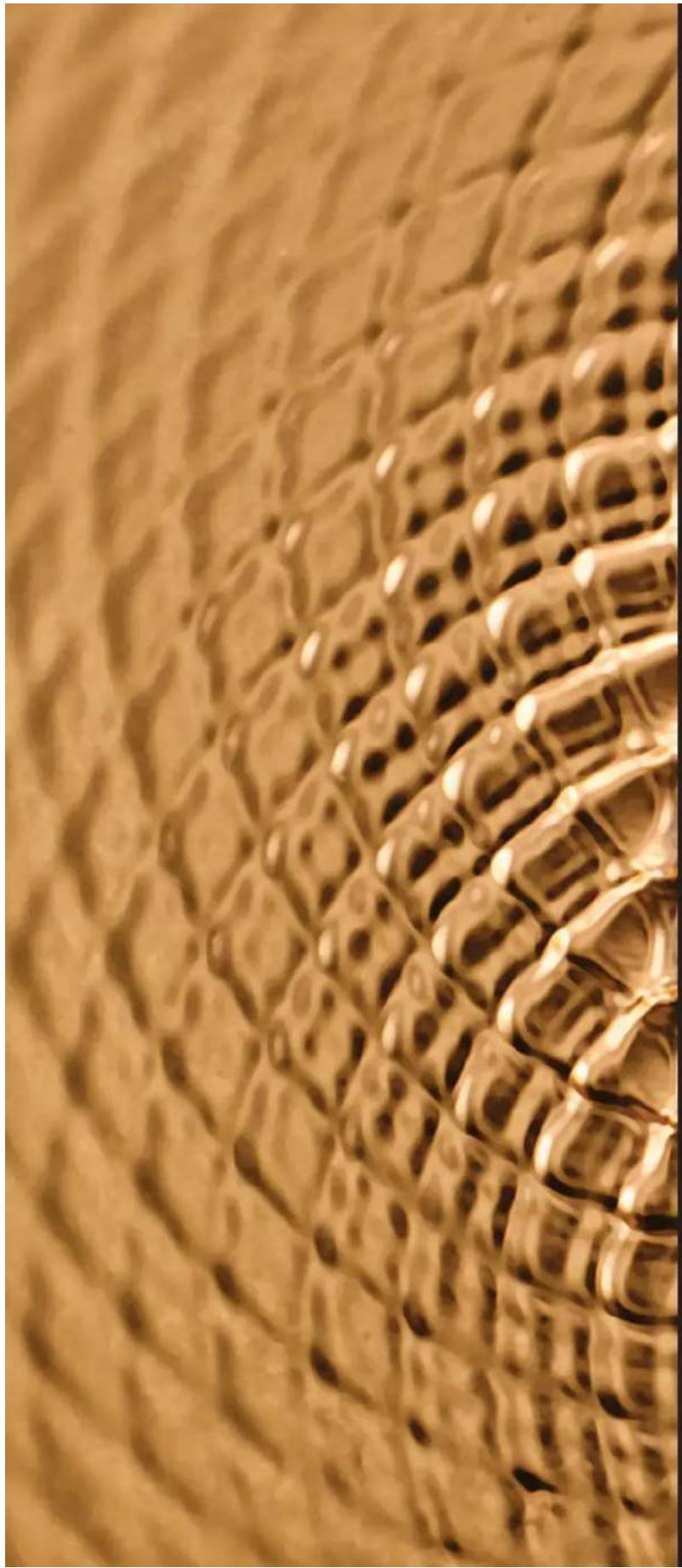 Morel MPS-R1 - LOTUS GRILLE - 5