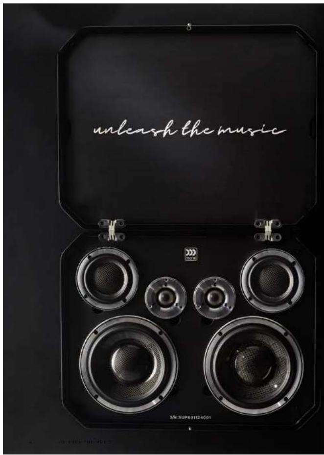 unleash the music S/N:SUPER31124001