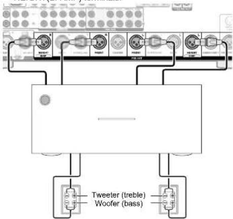 Tweeter (treble) Woofer (bass)