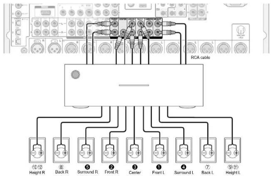 RCA cable Height R Back R Surround R Front R Center Front L Surround L Back L Height L