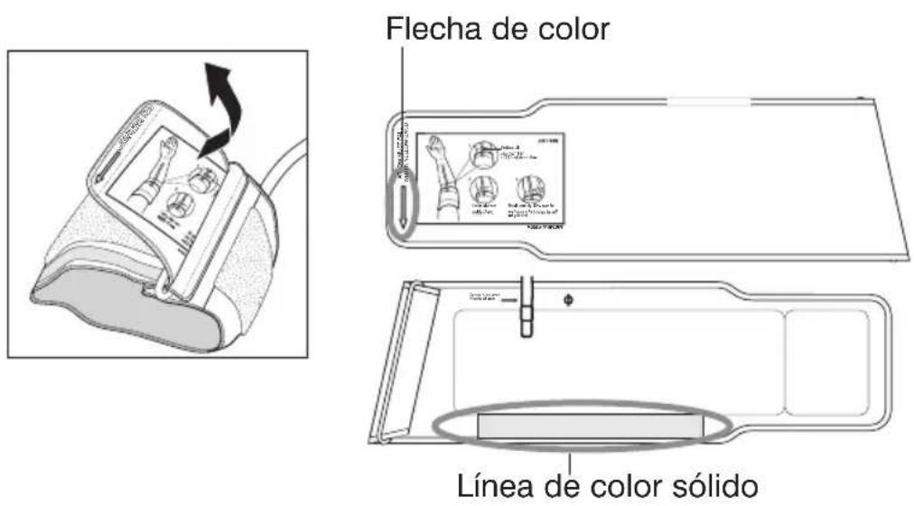 Flecha de color Línea de color sólido