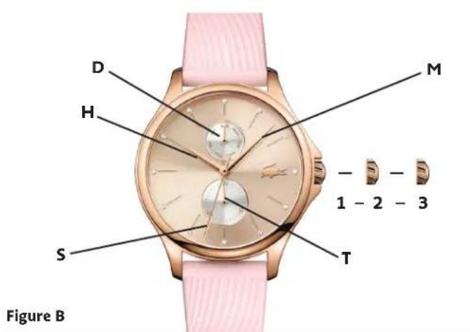 D H S T M - - 1 - 2 - 3 Figure B