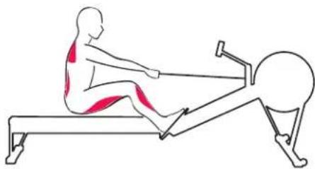 Concept2 Model D - KORREKT RO TEKNIK - 4