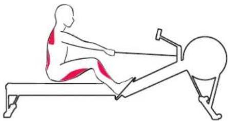 Concept2 Model D - HET BEGIN VAN DE HAAL (DE CATCH) - 4