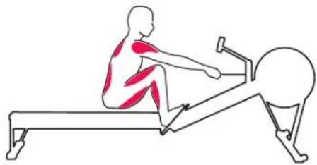 Concept2 Model D - DIE AUSLAGEPOSITION - 1